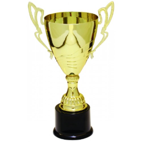 Trophy cup