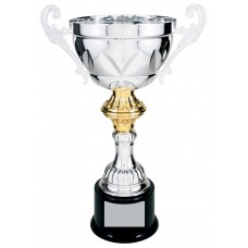  CMC200 Series Cup Trophy