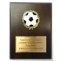 6" x 8" Dome Ball Sport Plaque