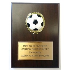 6" x 8" Dome Ball Sport Plaque