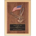 Plaque with  Eagle and American flag casting.