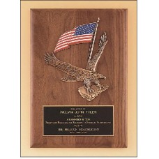 Plaque with  Eagle and American flag casting.