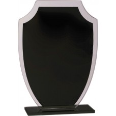 Black Shield Reflection Glass Award 
