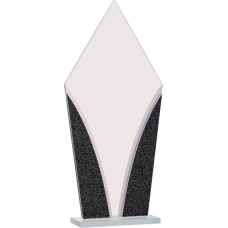 DGS31\32  Diamond Glass Award