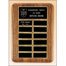 P2910  Perpetual Plaque