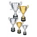 CMC300 Metal Cup Trophy