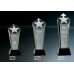 CRY031  Crystal Frosted Star Column Award