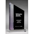 Digitally printed brushed silver award