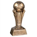 Soccer Champion Award