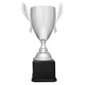New  Silver Completed Metal Cup Trophy