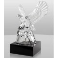CR500 Radiant Crystal Eagle Award