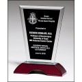 Glass Award with Black Silk Screened Center 