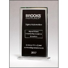 Rectangular Glass Award