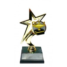 The Star Lamp Award
