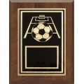 6" x 8"  Sports Plaque