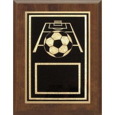 6" x 8"  Sports Plaque