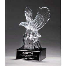  Radiant Crystal Eagle Award