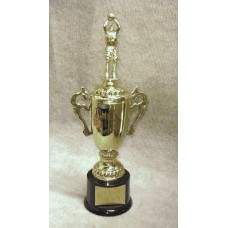 BAS13 Basketball Victory Trophy