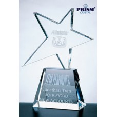 C366 Crystal Star Award