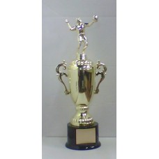 VOL13 Volleyball Victory Trophy