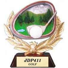 JDP411 Participation Award
