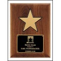 P3328 Gold Aluminum Star