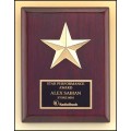 P3992 Constellation Series Rosewood Award