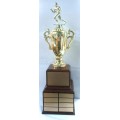 Fan-06 Fantasy Football Award