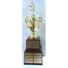 Fan-06 Fantasy Football Award