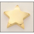  107 Star paperweight