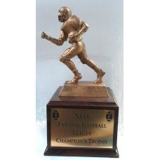 Fan-01 Fantasy Football Award